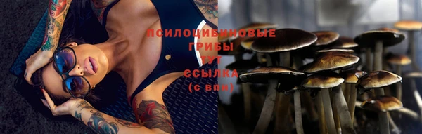 MESCALINE Медвежьегорск