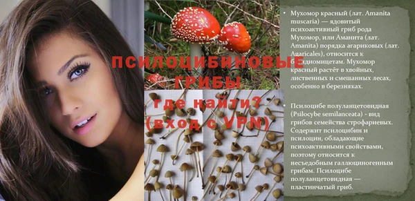 дурь Магадан