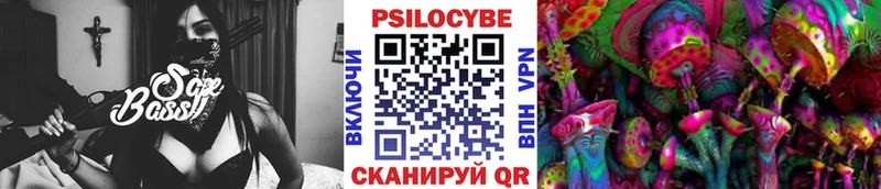 Галлюциногенные грибы Psilocybine cubensis  Волгоград 